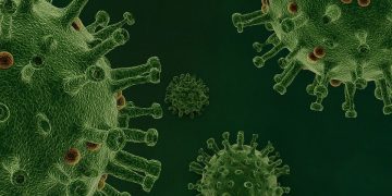 Gorenje stellt Produktion vorläufig ein