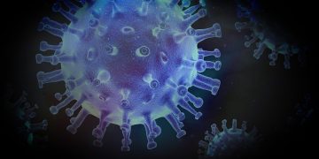 Innerstaatlich Beförderungen gebietsfremder EU- / EWR-Unternehmer im Zusammenhang mit der Verbreitung des Coronavirus